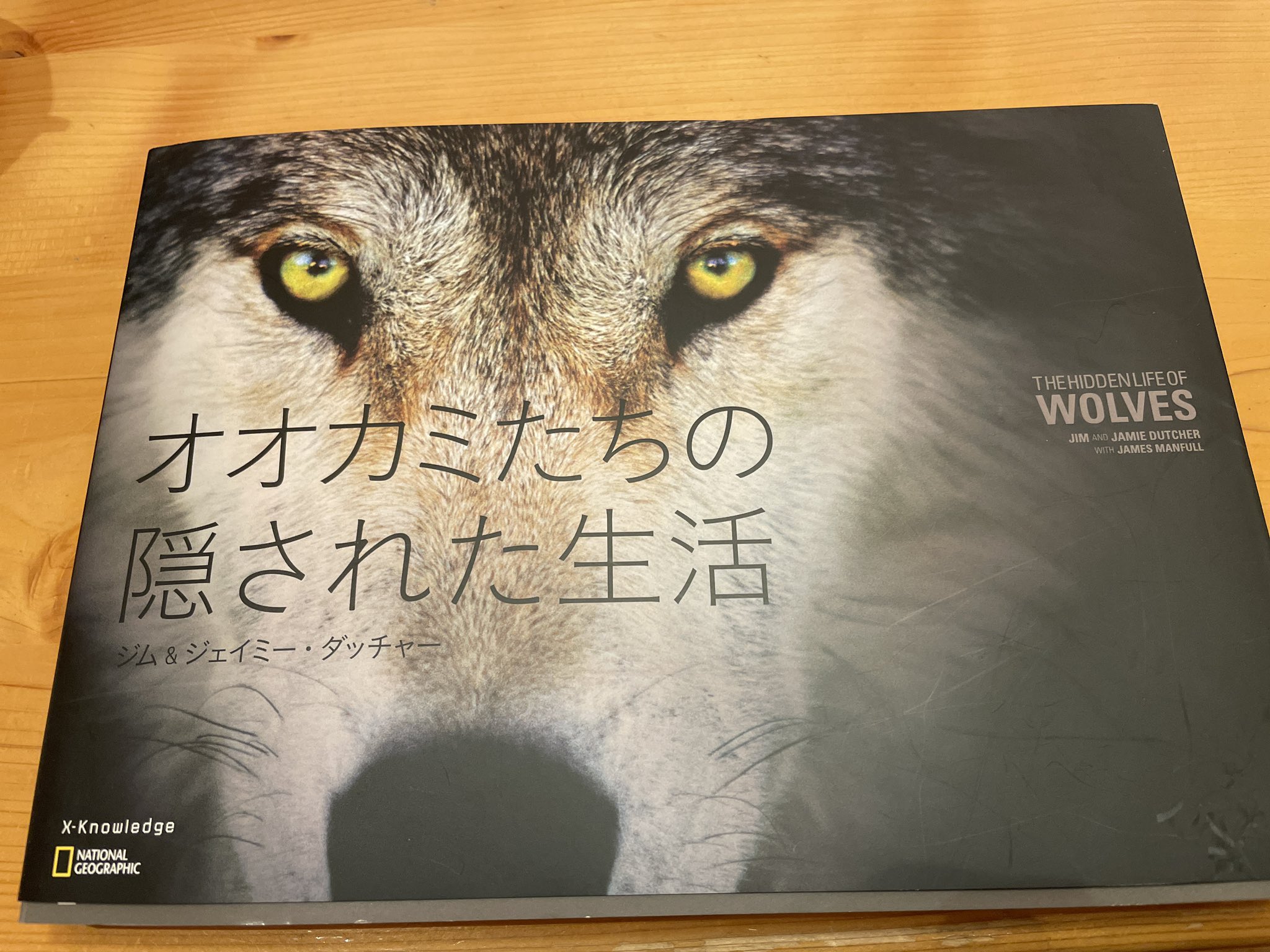 ぬまがさワタリ ゆかいないきもの超図鑑 ３ ８発売 オオカミたちの隠された生活 読了 6年間もテント生活をしながらオオカミ の群れを観察した著者の体験を 豊富な美しい写真と共に 記す本 歴史的に人間の偏見や憎悪に晒されてきたオオカミが