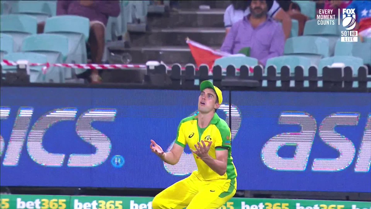 Fox Cricket tweet media