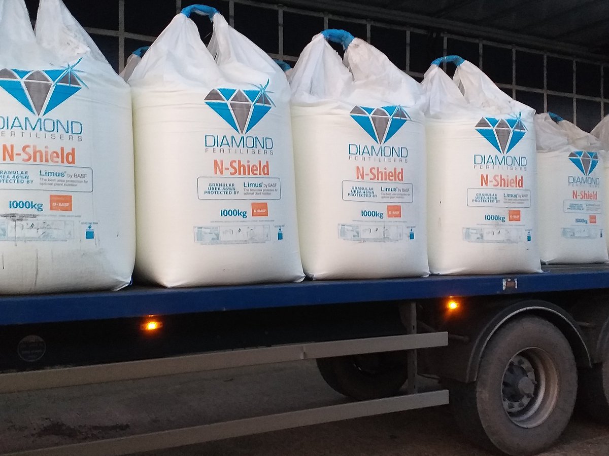 Diamondfertilis's tweet photo. Happy Friday On Farm Delivery 🚜 💎
#fridayfeeling #protectedurea #reduceemissions #limusprotects #fertiliser #farminguk #farmlife #qualityserviceprice #qualityfertiliser https://t.co/vQI8KIrePG