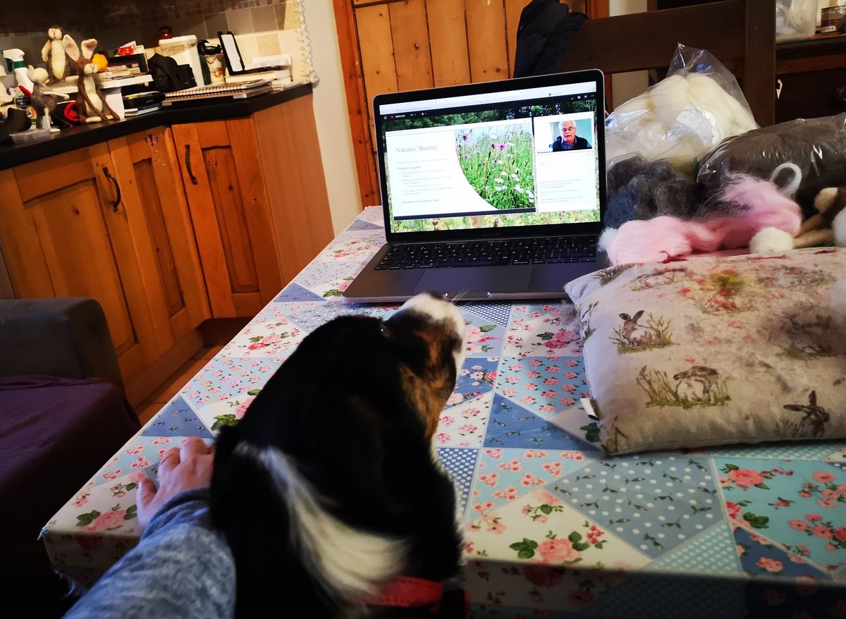 xSorchaLewisx's tweet photo. Bett and I are enjoying the @NFFNUK Nature Friendly seminar at this year's  #WBPConf2020 well done Chris and @gethowen lovely to get a @FarmingVoice about the place farming plays in wildlife decline and add value to the farm business by doing this! @pontcymru https://t.co/EzX6BX6Qpk