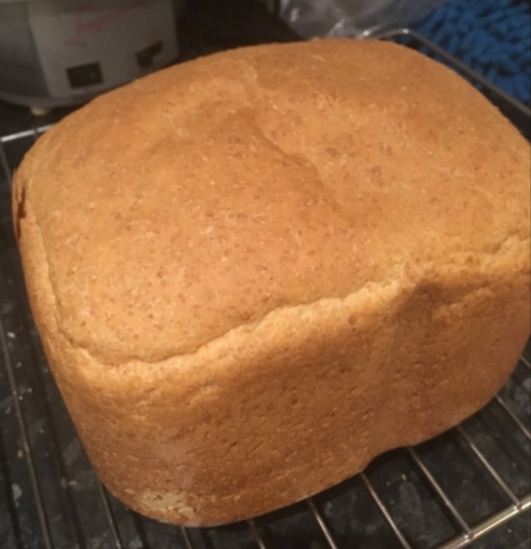 ScienceHab's tweet photo. Some great bread baked by our year 8's as they learn about anaerobic respiration in yeast!

#ScienceAtHome https://t.co/MyxrVw8Q7r