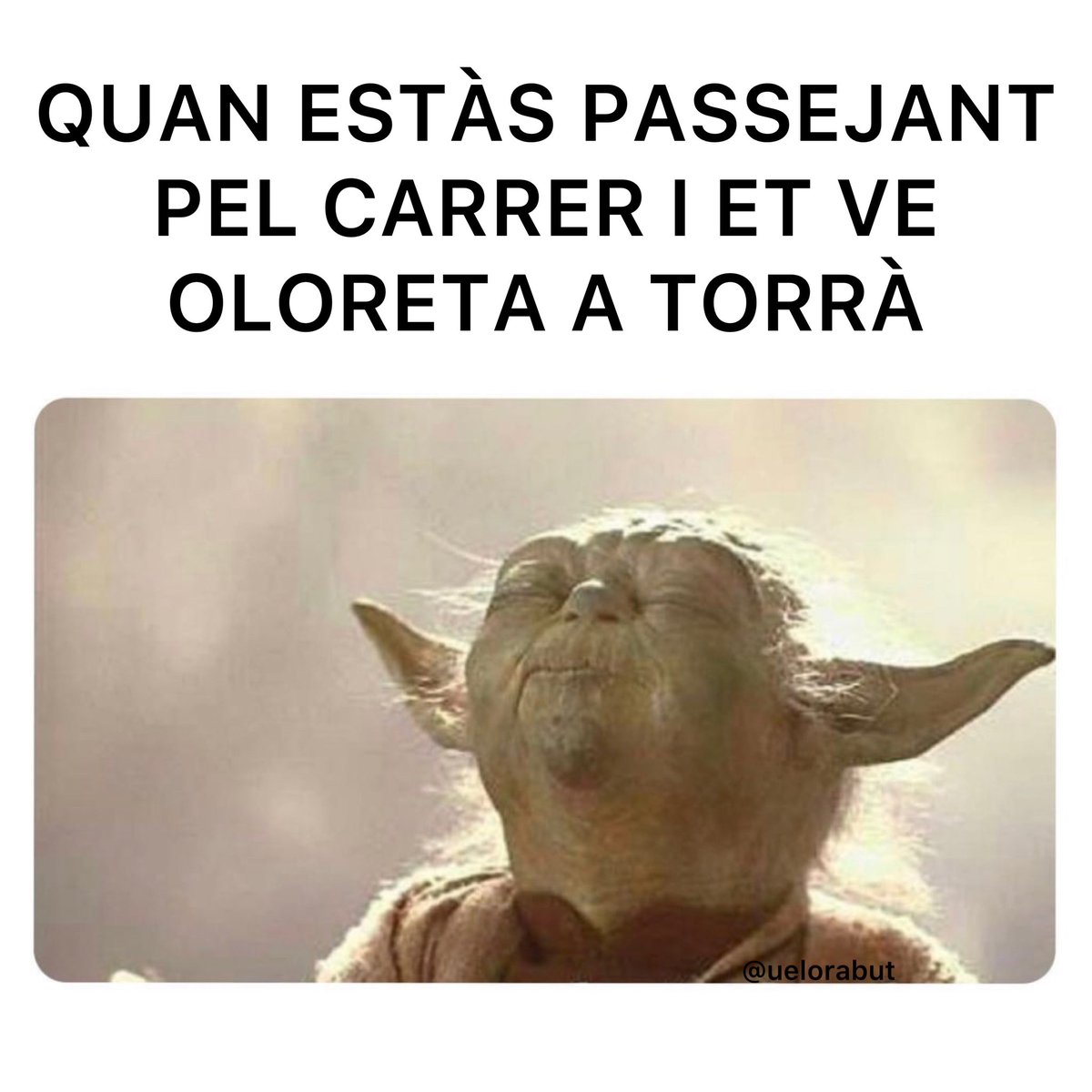 uelorabut's tweet photo. Eau de Torrà https://t.co/4S3YIv7HgY