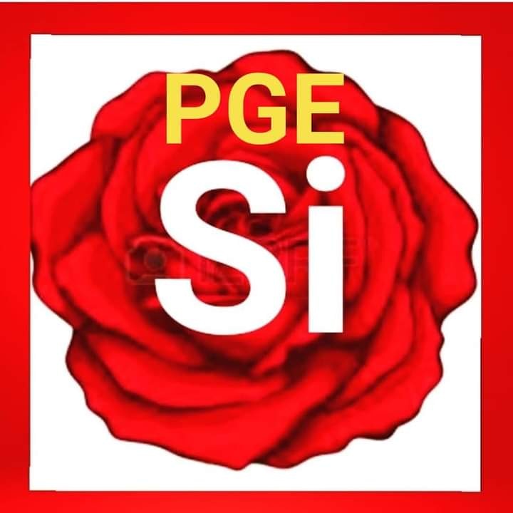 palenzuelayoli's tweet photo. Y... Digo yo, si #FelipeG y #Aznar están tan preocupados por los socios de #Gobierno, cómo no le han dicho a #FraCasado que apoye los #PGE2021 tan necesarios y que #Europa exige para esos #Fondos tan urgentes.
Cuanto exigieron al #PSOE entonces, tanto que hasta se rompió,🤔 https://t.co/7pogPGlLIX