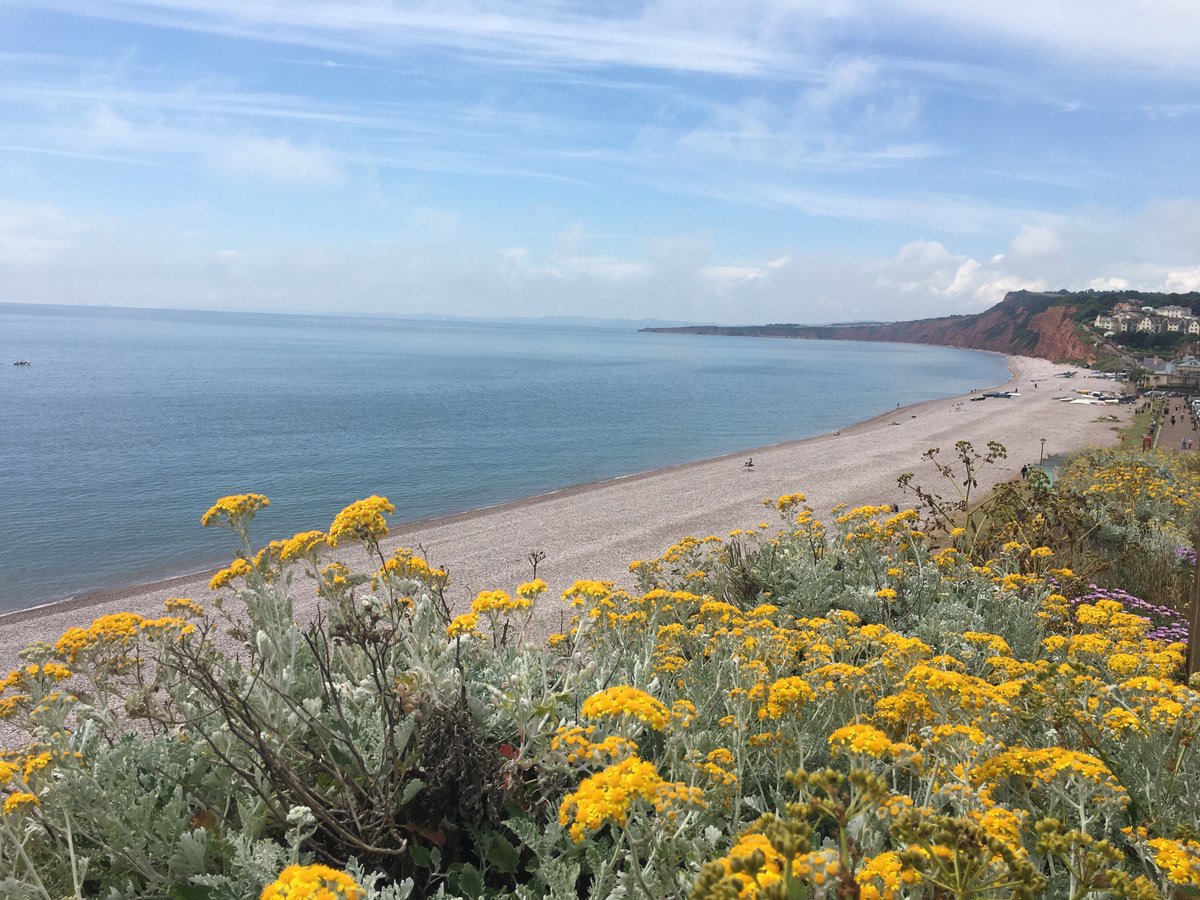 eastdevon's tweet photo. Planning an #event in beautiful #eastdevon? Look no further than our outstanding event spaces.  Parks, gardens &amp; beaches perfect for your #wedding #foodfestival #musicfestival #watersport #fitness Contact events@eastdevon.gov.uk #eventseastdevon #eastdevon #devonevents https://t.co/hEMAjqhrl1