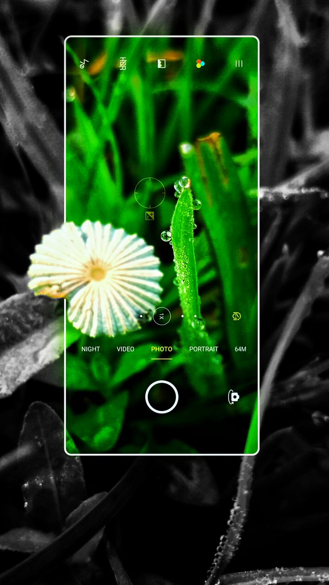 pixediting's tweet photo. Camera 📸 frame editing in snapseed 
Click here to know how : https://t.co/PIBPPP2iJc
>> #pixeditings
#nature #blackandwhitephotography #Flowers #snapseed #NaturePhotography #naturelovers https://t.co/MiaqyWSTJJ