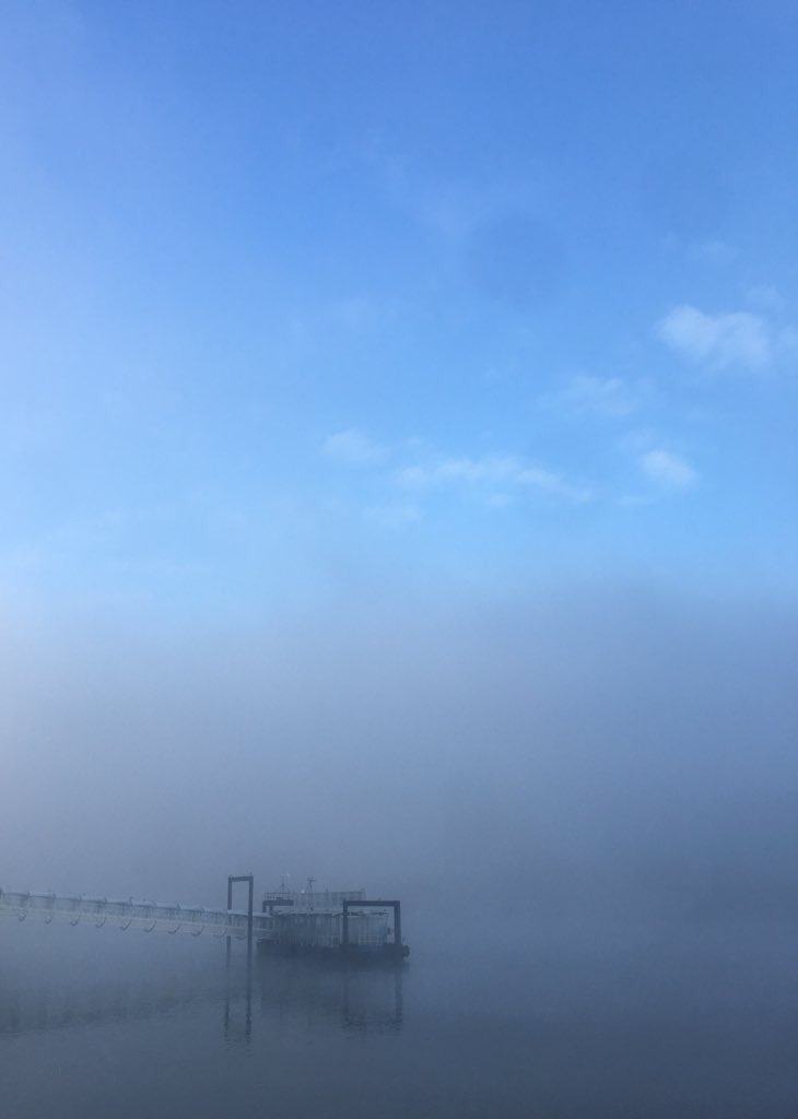 Rotherhithe Tours⚓️ (@rotherhithetour) on Twitter photo “Under the thinning fog the surf curled and creamed, almost without sound, like a thought trying to form inself on the edge of consciousness”
#FridayFog on the <a href="/ThamesPathNT/">Thames Path National Trail</a>. “Under the thinning fog the surf curled and creamed, almost without sound, like a thought trying to form inself on the edge of consciousness”
#FridayFog on the <a href="/ThamesPathNT/">Thames Path National Trail</a>.