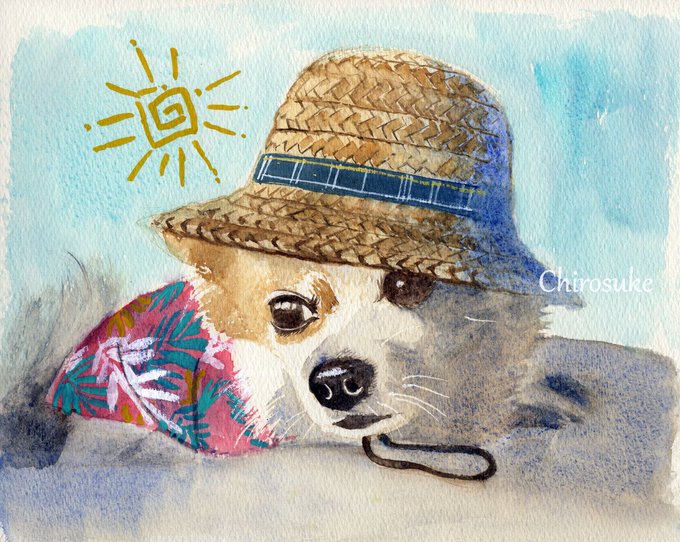 「犬 帽子」のTwitter画像/イラスト(人気順)｜21ページ目