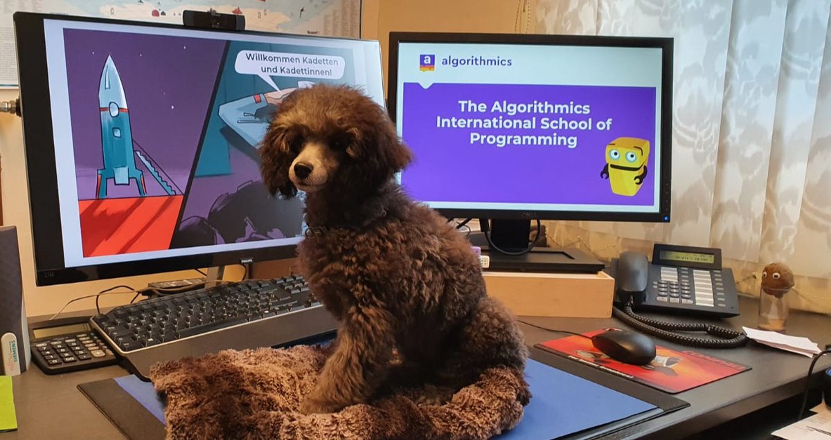 AlgorithmicsDE's tweet image. Mit großen Stolz wollen wir euch unseren neuen Mitarbeiter vorstellen. Er heißt Santa Marino, aber wir nennen ihn liebevoll "Santi". 🐶
Santi wird als Security Manager arbeiten und darauf achten, dass die Kinder Spaß beim Programmieren haben.
Willkommen, lieber Santi! ❤️
#dog