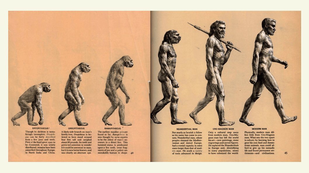 But this seemingly canonical picture of evolution in action deeply misrepresents its subject. The vision of a linear succession, one form morphing to another, each more sophisticated than the last, is an illusion. Plus, evolution as a process has no foresight, no destination.6/10