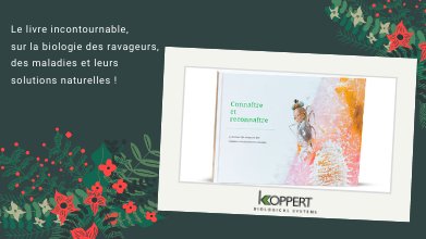 Koppert_France's tweet photo. [Le calendrier du déconfinement]

Et oui c’est bientôt Noël ! 
Vous recherchez un cadeau original ? 
N’hésitez pas à commander le livre incontournable « Connaître et Reconnaître » pour tout savoir sur la biologie des ravageurs, des maladies et leurs solutions naturelles.
#Koppert https://t.co/uvMjdVGpWC