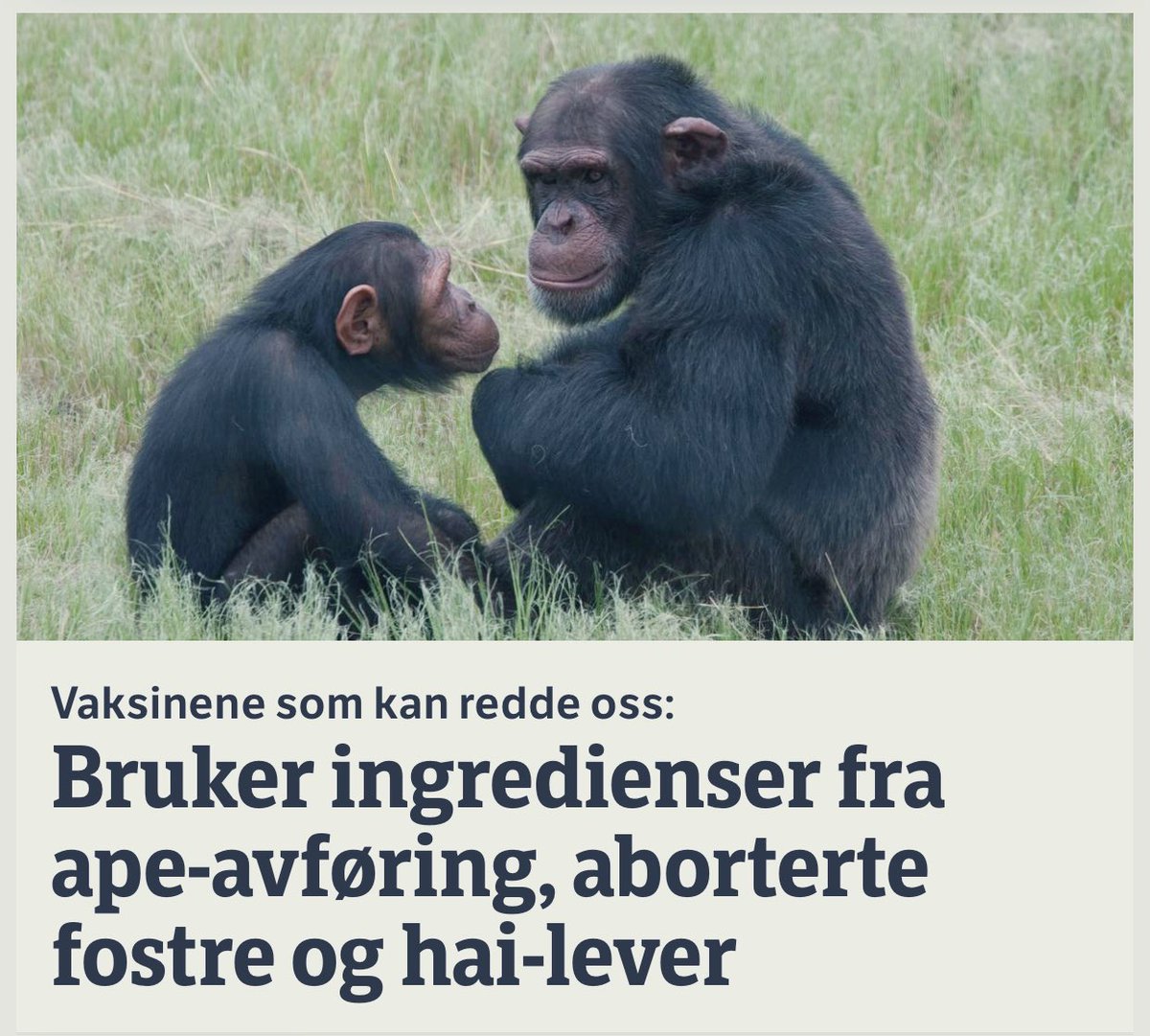Øyvind Solstad ☀ tweet media