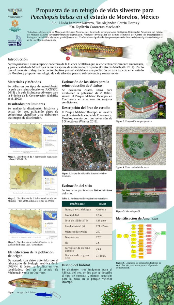 Que mejor manera de festejar el #DiaNacionalDeLaConservación que apoyando a @lluviaramirezn1 en  la preparación del manantial para la reintroducción de Poeciliopsis balsas, único vertebrado desaparecido en #morelos Muchas gracias al <a href="/CuernavacaGob/">Municipio Cuernavaca</a> por todo su apoyo