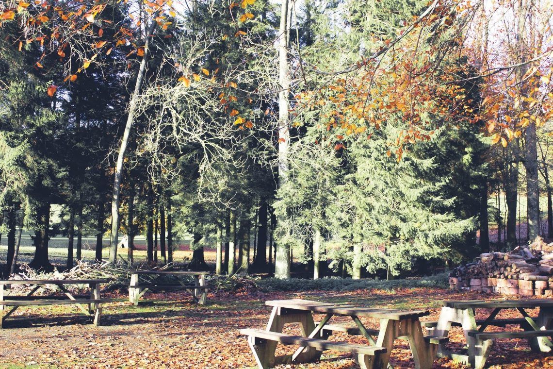 Charlotte (@charlottecblogs) on Twitter photo reasons for loving autumn 🍄 buff.ly/3n6IXfj
#theclqrt <a href="/BloggersTribe/">BloggersTribe</a> <a href="/BloggersHut/">Bloggers Hut ✨</a> @cosyblogclub reasons for loving autumn 🍄 buff.ly/3n6IXfj
#theclqrt <a href="/BloggersTribe/">BloggersTribe</a> <a href="/BloggersHut/">Bloggers Hut ✨</a> @cosyblogclub