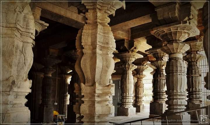 Ganga Dynasty:  #ಗಂಗರುTalakadu - Once a flourishing city, Capital of the Gangas (350-999 CE) now buried under Kaveri’s sand!Ganga, Hoysalas, Vijayanagara dynasties across centuries have contributed many ornate temples, left their imprints on  #Talakadu #ಕನ್ನಡ_ಸಂಸ್ಕೃತಿ_ಇತಿಹಾಸ