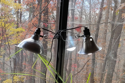 My lighting system isn't anything special. Shop lamps with full spectrum LED bulbs. I'm basically taking not quite adequate natural light, and adding in a bunch of not adequate by itself artificial light. Together, it's great.If you need more, we can talk about options.