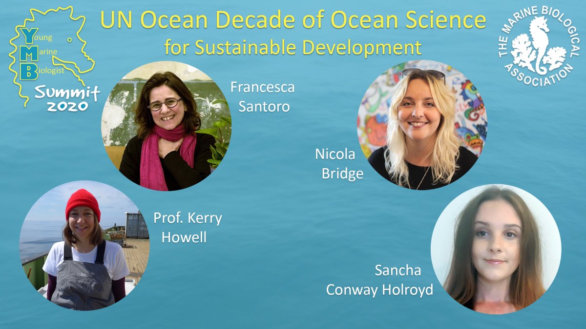 thembauk's tweet photo. 🐳This time tomorrow we'll have wrapped up day 1 of the #YMBSummit2020! We can't wait to hear discussions on the #UNDecadeOfOceanScience, #ChangingOcean, and #MarineCareers. We've got attendees from over 38 countries signed up! Will you be joining?
Book👉https://t.co/EHwXBqlqXo https://t.co/o7HyRoFsyi