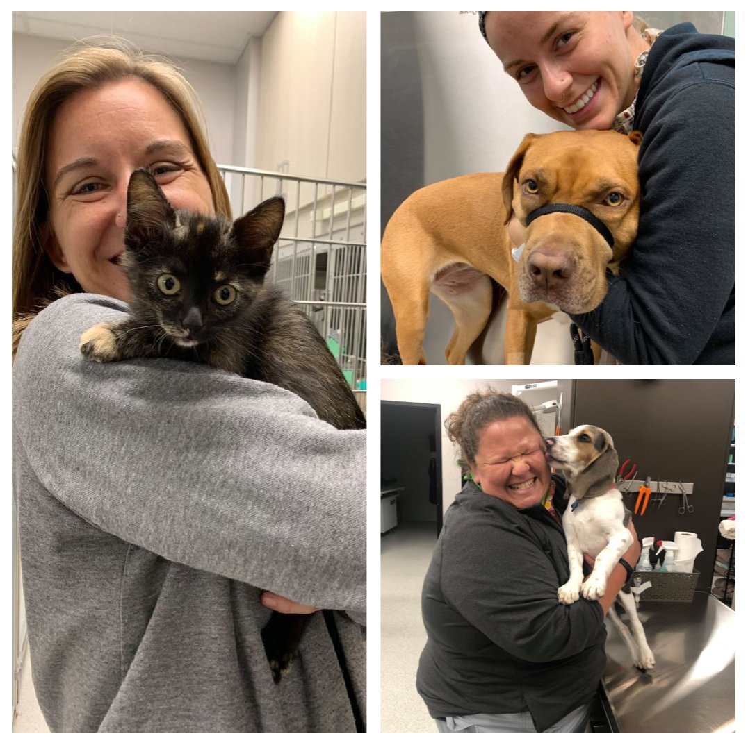 The_GoodVets's tweet photo. We’re grateful to you, our clients, and the opportunity to care for your pets. Thank you! https://t.co/3FJt1sWaBG