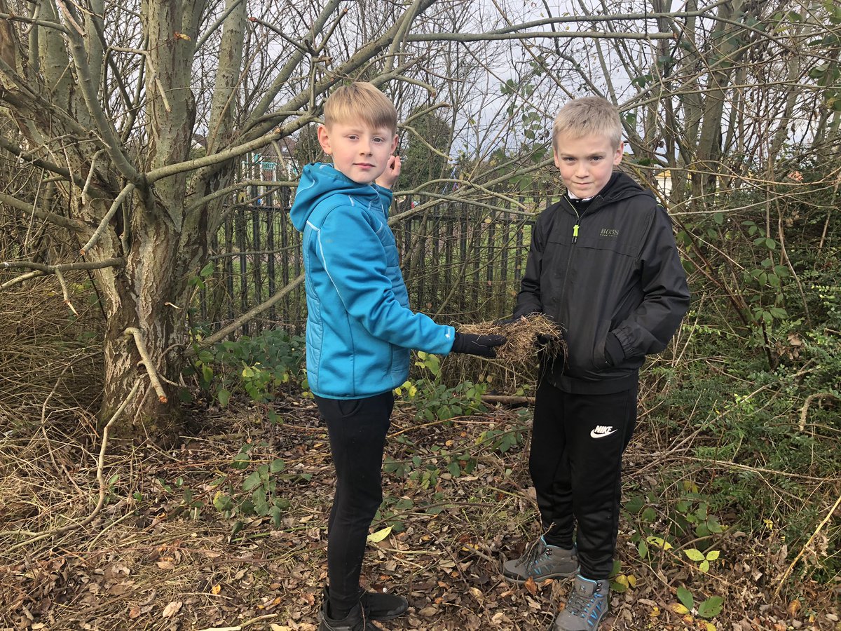 LawPrimarySLC's tweet photo. Room 9 had fun making their own birds nests today. They were ask to use one hand or a close peg in place of a beak. We placed some of them in the trees. 🐦🌳🍁#outdoorlearningfun #problemsolving #teamwork https://t.co/LYEA61Lr6k