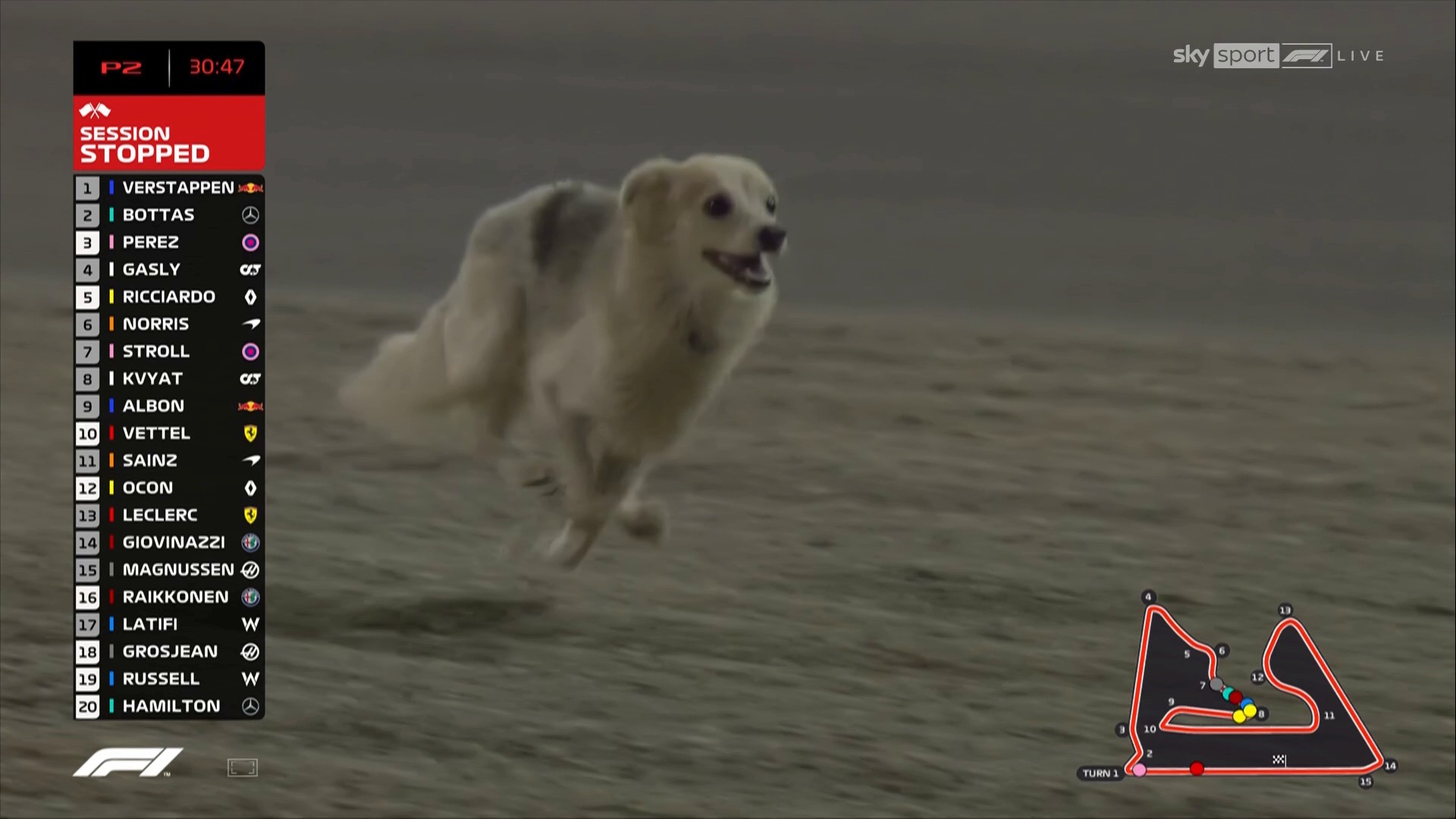 En14bozXEAMG5JS?format=jpg&name=large