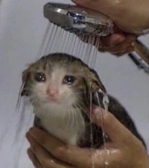 me getting ready for the plans i said yes to