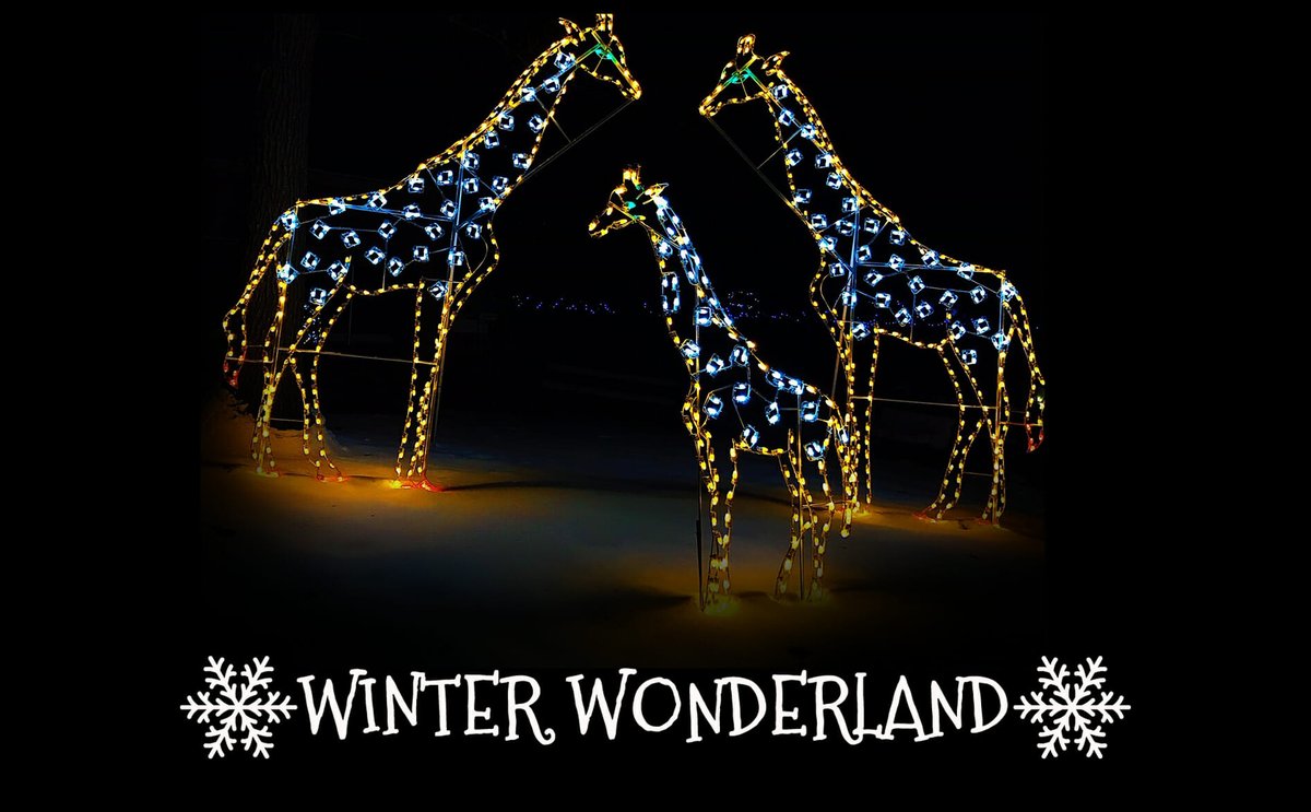 VisitMA's tweet photo. Opening tonight! Southwick's Zoo Winter Wonderland in #mendonma runs from Nov 27 - Dec 30, a spectacular holiday lights display. #mylocalMA #MaskUpMA @VisitSEMass @newenglandvisit
https://t.co/1dzgwEI1qL https://t.co/VGtKWnFmBh