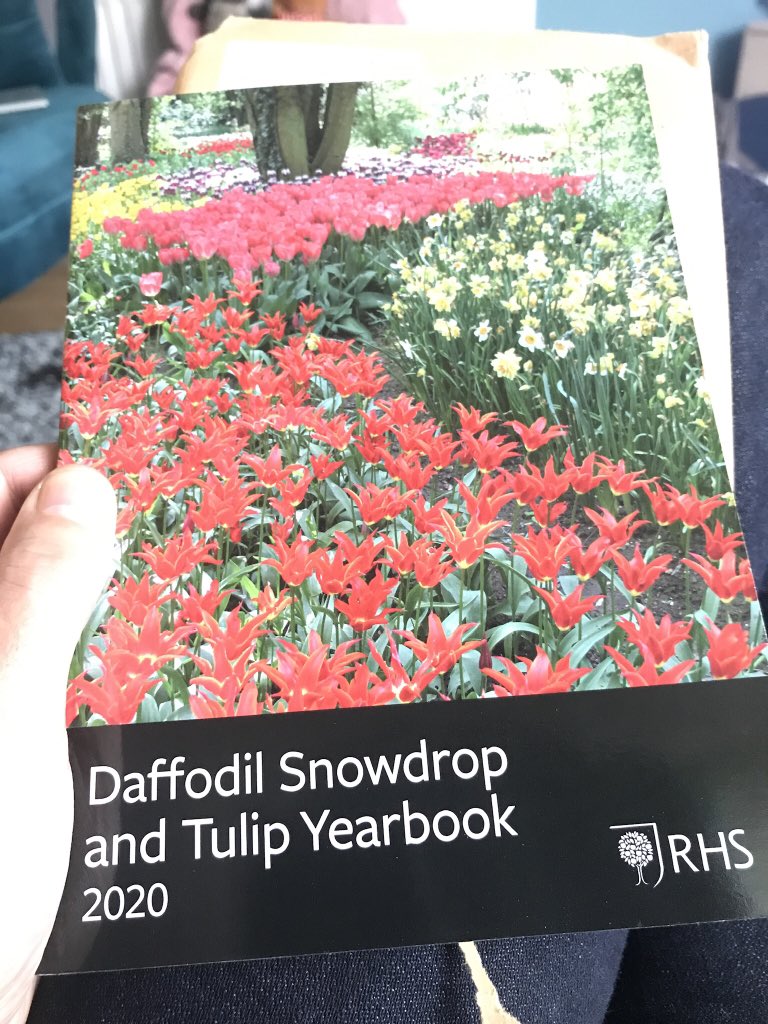 86_plot's tweet photo. Weekend reading sorted. Delivered today, the RHS Daffodil Snowdrop and Tulip Yearbook 2020 #rhs #daffodils #snowdrops #galanthus #tulips  #alpineplants https://t.co/vpxMpsTKtz
