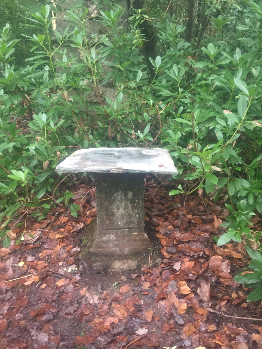 Ron_ejuleff's tweet photo. Bewtie walk along the riverbank from #Lerryn to #Manely and a look around the abandoned #TivoliPark #Cornwall #Kernow https://t.co/gsmBpJHUqi