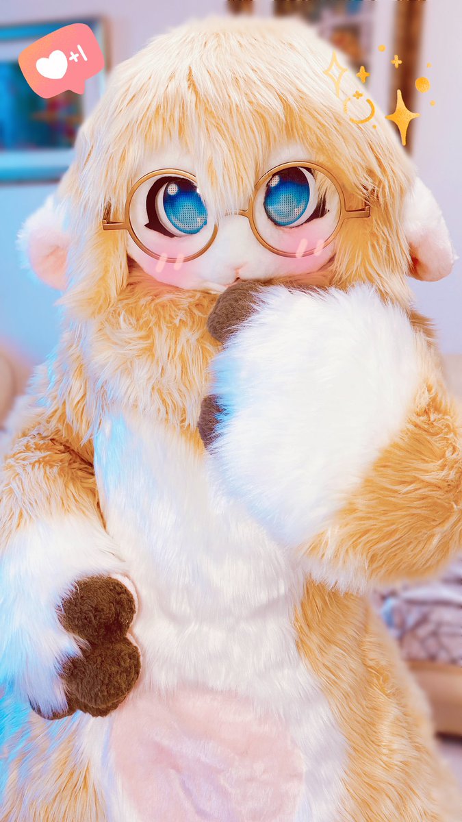 Baa💛 I'm hungry...May I have some food?💛

#fursuit #fursuiter #fursuitfriday #fursuitsfriday