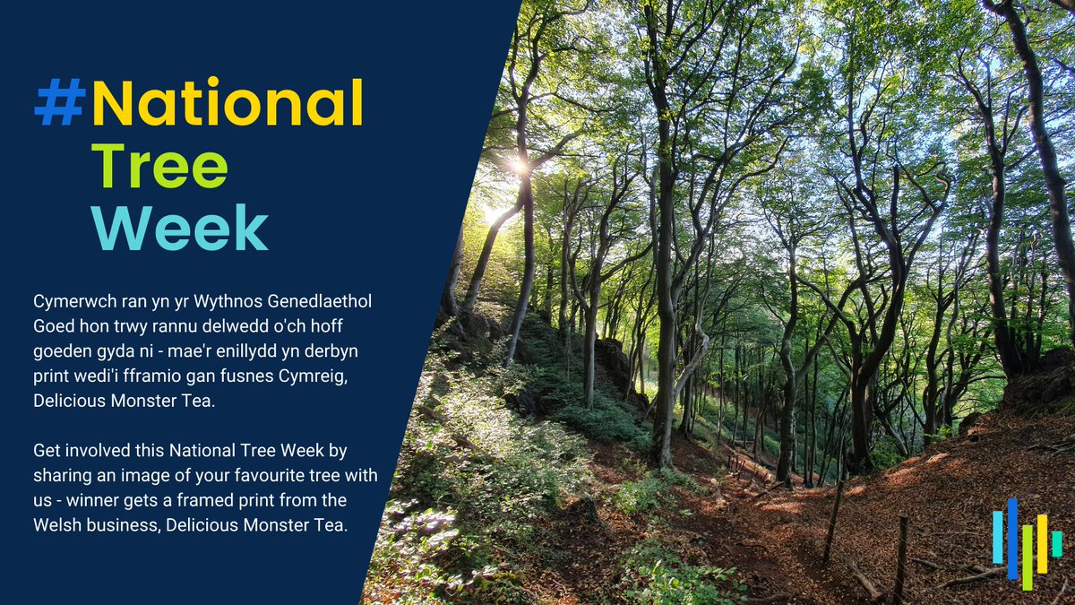 futuregencymru's tweet photo. Need something to look forward to? 
Well, #NationalTreeWeek starts this Saturday. Get involved and keep an eye out for inspiring examples of good practice, recommendations for a greener, healthier and happier #OurFutureWales and a competition to win a framed print. https://t.co/58692HGOaB