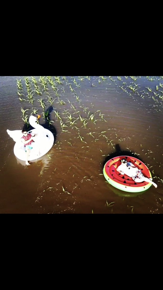 SharkFarmer tweet media