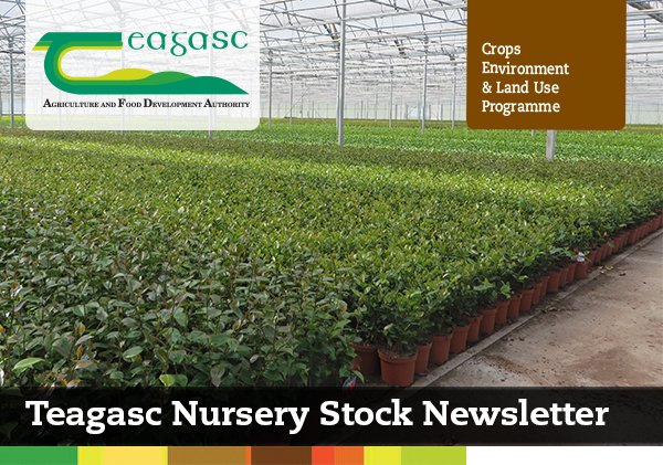 Teagasc Nursery Stock Newsletter #11 2020 Brexit Imports - mailchi.mp/5a2e98c9db54/g…