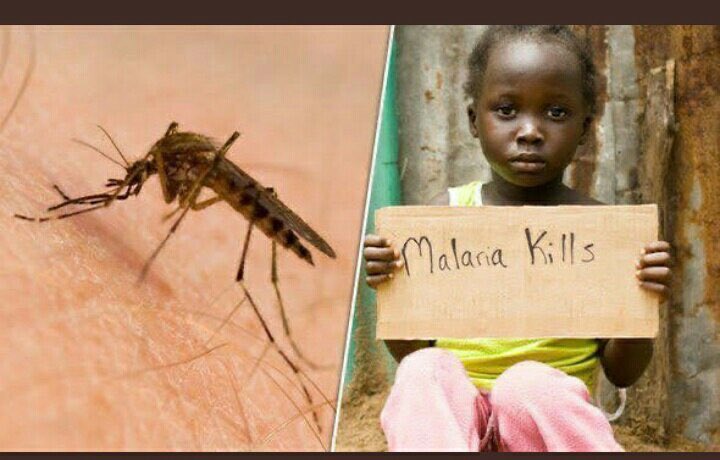 SirDavidKN's tweet photo. Let's all put up our Mosquito Nets tonight and every day to prevent Malaria
#SleepUnderTheNetUg https://t.co/ID7SZvY4qT