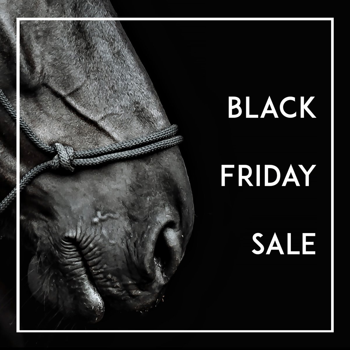 adellegervin's tweet photo. BLACK FRIDAY SALE!
Online Photography Workshop $25 off today only!
https://t.co/HJNwE3oiQb https://t.co/GpraYhGWNk