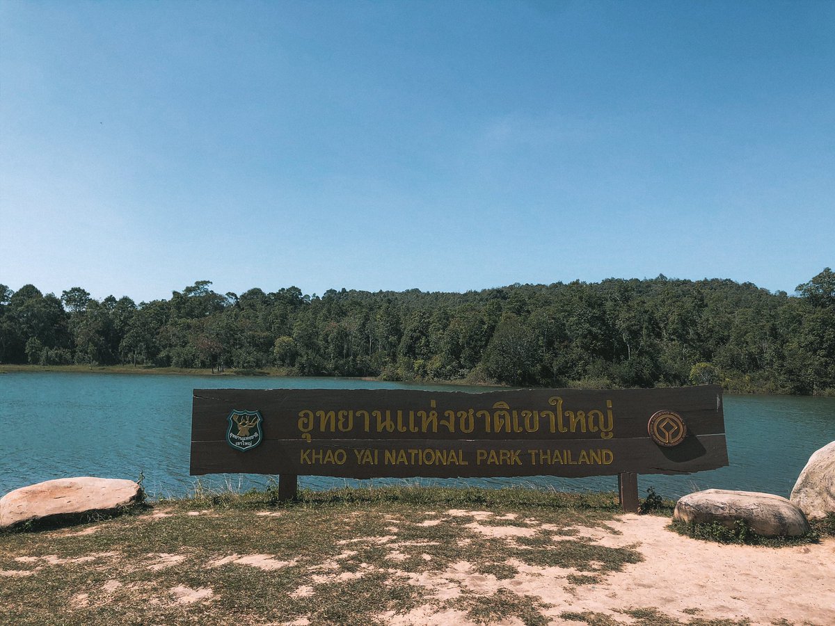 Relationtripsss's tweet photo. อ่างเก็บน้ำสายศร ที่อช.เขาใหญ่ คือปัง
วิวดี บรรยากาศดี เหมาะกับถ่ายรูปลงไอจีแทบทุกมุม แล้วคือตอนนี้อากาศหนาวๆ แล้วด้วย ขนาดแดดเปรี้ยงแต่ลมยังเย็นอยู่เลย !! ไปจ้าา @Review_Thailand #ReviewThailand  #เขาใหญ่ #อ่างเก็บน้ำสายศร https://t.co/TbXHK9qyDy