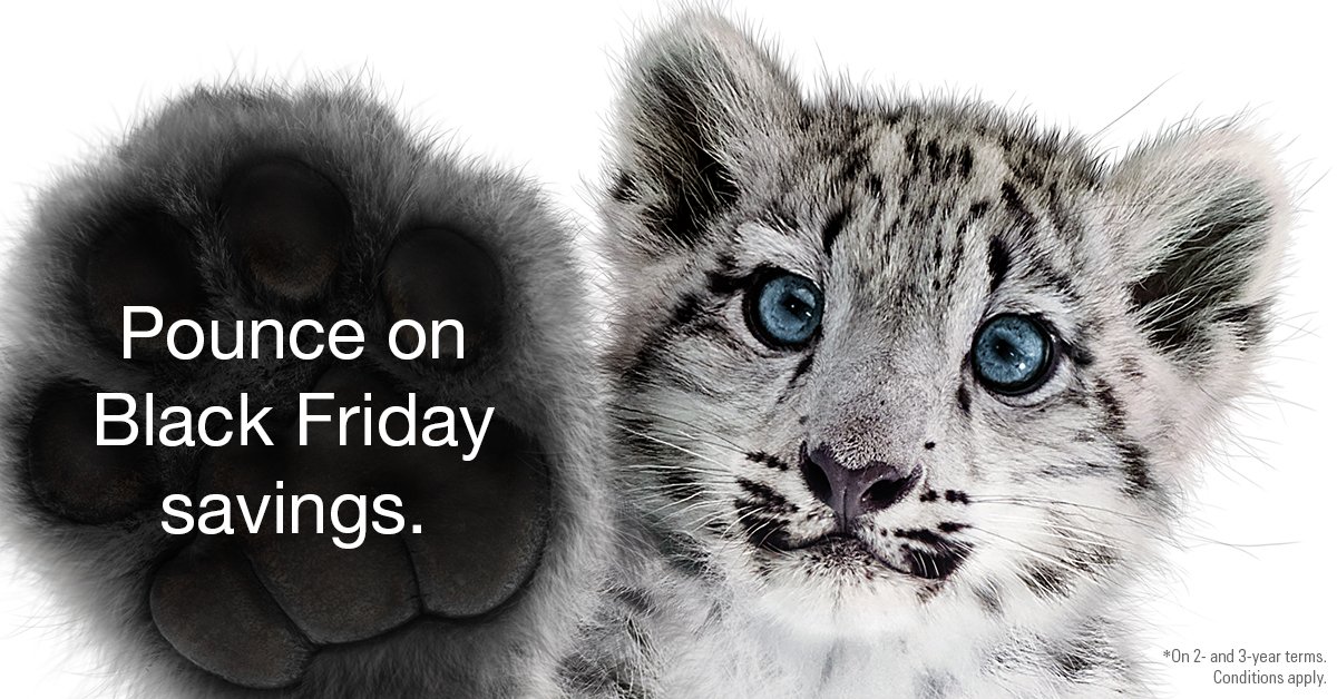 Get your paws on our Black Friday specials! Call us now to reserve a device before they’re sold out. Friendly personalized service, a more relaxed shopping environment than the malls, and we have curbside pick-up available. Visit our #GrandePrairie and #RedDeer stores today!