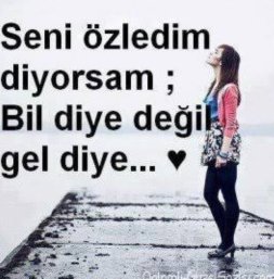 cancan6909's tweet photo. Eyy CAN...
Sevmek blr renk se
Gel benim gökkuşağım ol..
Rabbinden duam..
O elleri benden başka tutan olmasın... https://t.co/DOo1PPO5gO