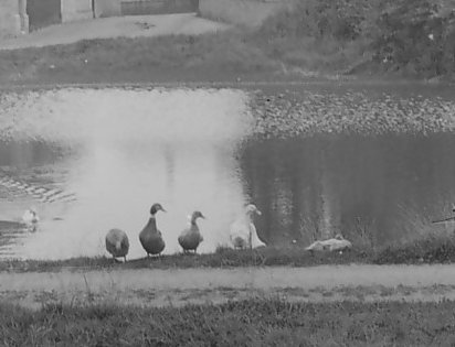 Braced for an all out aquack and no doubt flanking on the wings