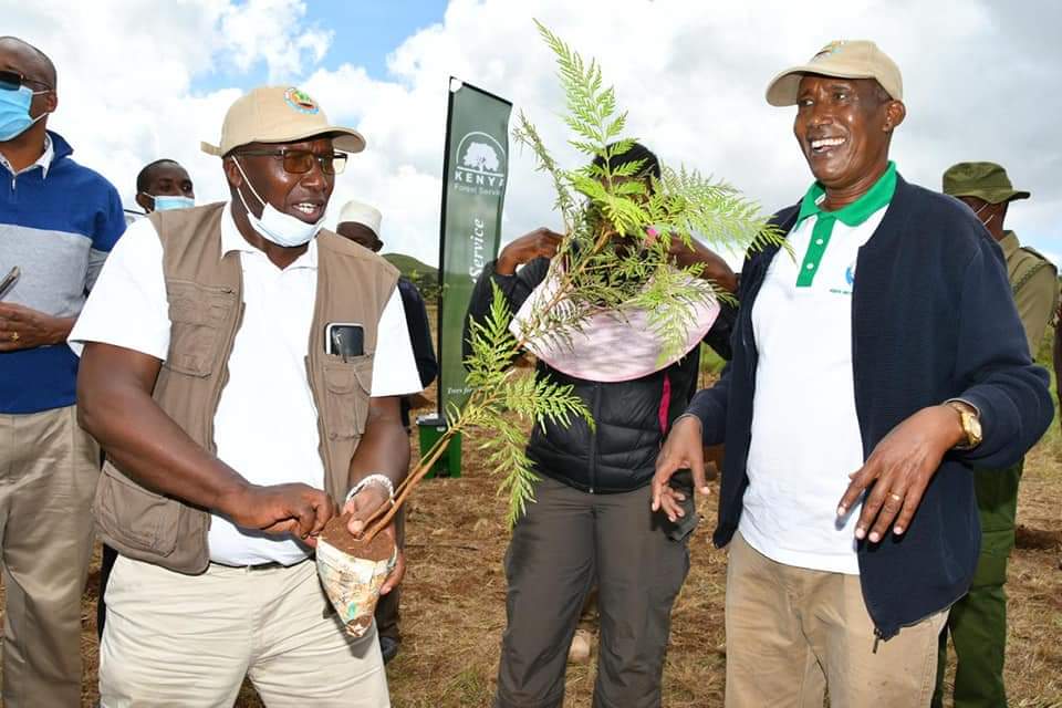 WaterTowersKe's tweet photo. Happening Now: Ag DG Prof Julius Tanui participates at a tree planting activity at Huri Hills Water Tower in Marsabit County. A total of 5,000 indigenous seedlings have so far been planted. The target is to plant 10,000 indigenous seedlings. #10percentTreeCover https://t.co/XsKLaz2wPS