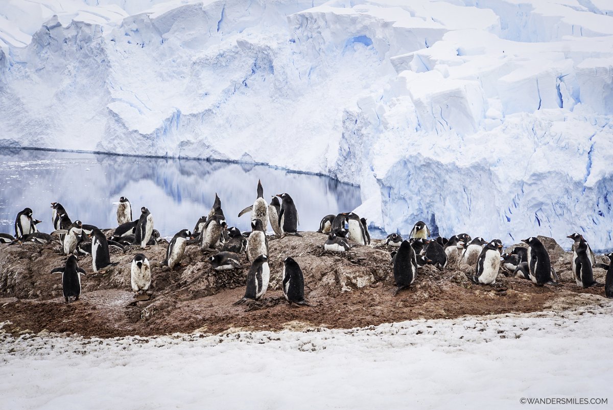 Vanessa 🌍 She Wanders Miles tweet media