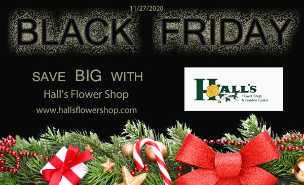 HallsFlowerShop's tweet photo. Shop with us for all your holiday decor, flowers, plants and unique gifts!
#blackfriday #holidayspecials #shoplocal #christmas #poinsettia #hallsflowershop #atlantaflorist #familyowned
https://t.co/oR1gM6n5mF https://t.co/Gx3zgoOPD0