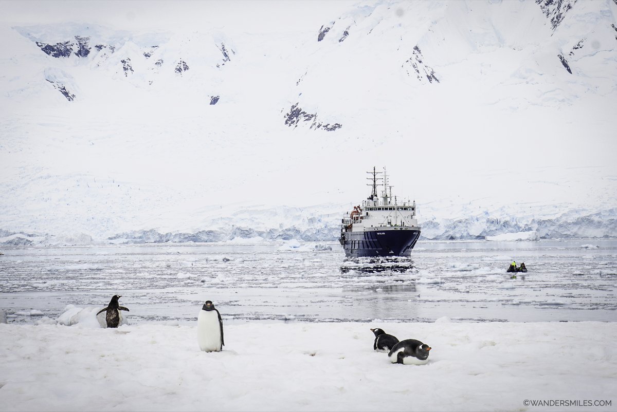 Vanessa 🌍 She Wanders Miles tweet media