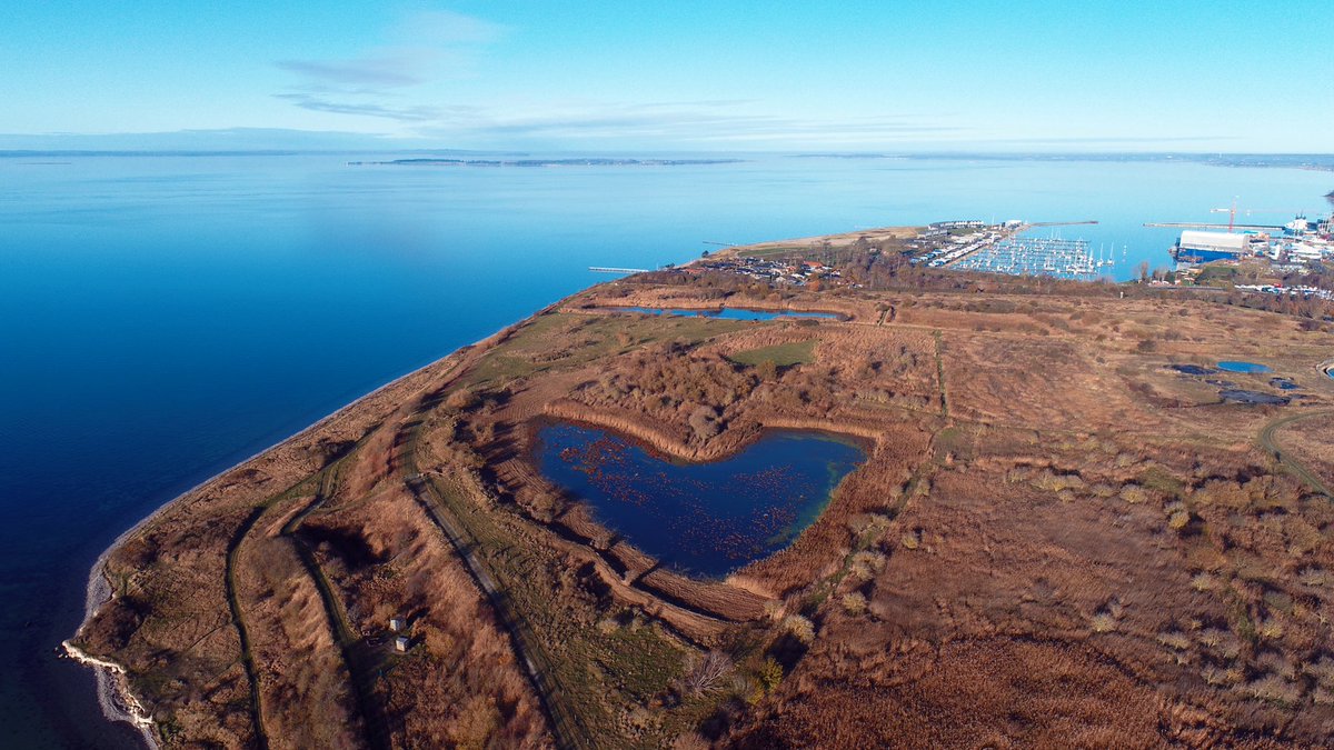 AssensNatur's tweet photo. Assens Kommune er i disse dage i gang med at foretage rydning af bl.a. træer og buske i indhegningen omkring hjertesøen. Baggrunden er at fremme natur- og landskabsværdier på Jordbassinerne💚💙 https://t.co/y8eCIoG4hF