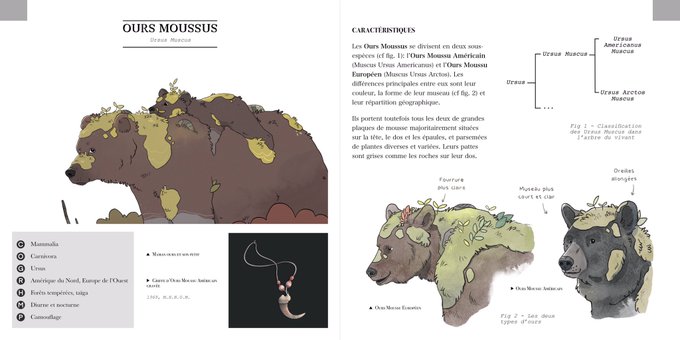 Les bons vieux ours moussus. 