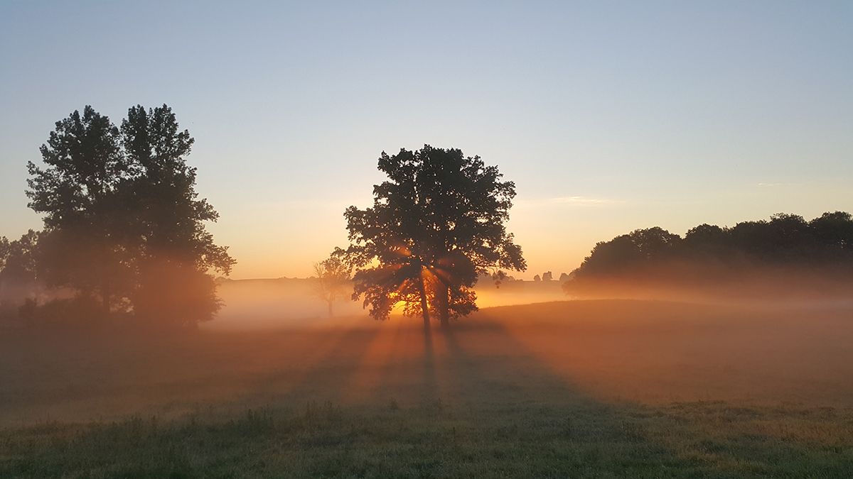 TranquilTouring's tweet photo. 😮  ARE YOUR TRAVEL PLANS BE AFFECTED BY NEW #CovidRestrictions?

🎄 26 Tranquil Parks in England were planning to reopen 2 Dec. 
⛄️  2 parks in Wales already reopened. 
✋ Some parks will be in tier 3.

👉  See the latest #coronavirus update https://t.co/HmSOND9kZs https://t.co/wX0A1iUj4v