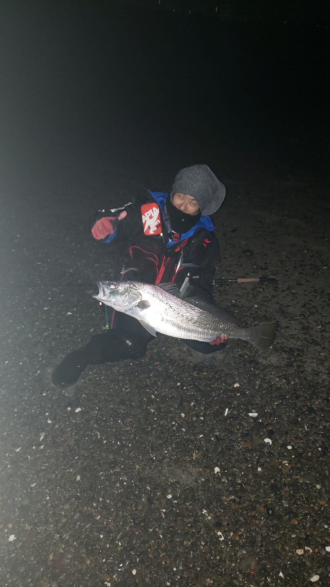 251魚柱 全集中 エラ呼吸 251laurel Twitter