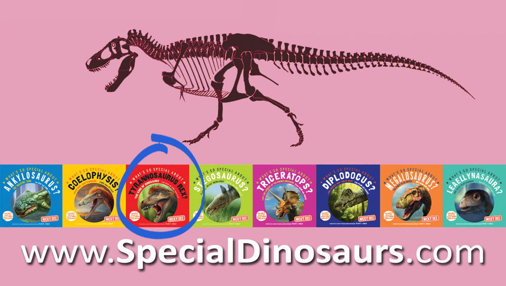 T. rex: A slim, stiff, pointed tail was vital to steer &amp; change direction; also balanced heavy head