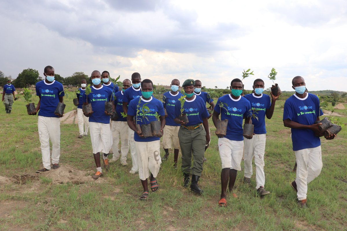 TelOneZW's tweet photo. Today we are at Hwahwa Prison farm were we planted fruit trees that were produced under our ZPCS Prisons Nurseries and Orchards Project which was launched last year at Chikurubi Prison farm as part of our Corporate Social Investment programme. #TelOneInTheCommunity https://t.co/iZ9Vdi2hid