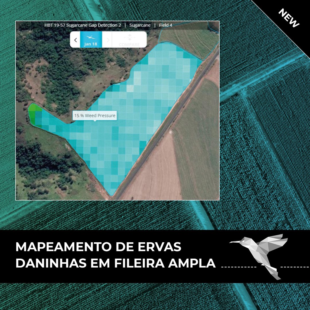 Use nossa nova ferramenta Mapeamento de Ervas Daninhas em Fileira Ampla para identificar a presença de ervas daninhas em sua safra de cana-de-açúcar. Entre em contato com nossa equipe de vendas: sales@hummingbirdtech.com
#brazil #mapeamento #cana-de-açúcar #agricultura https://t.co/7mwbowUsEM