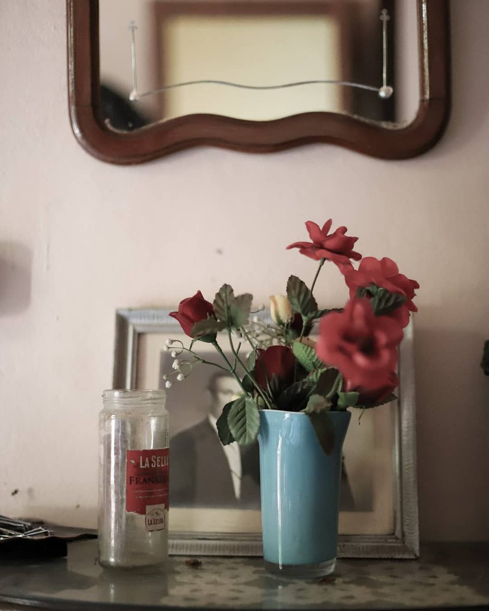 HortalimentaVLC's tweet photo. Rosa Gómez, passa a ser finalista en la categoria #Instagram amb el projecte #lamareserie1 'La mare'. Moltes felicitats @annmossway!! 🙌🏼 #ClickAlHorta https://t.co/aWrAnpE2Y7