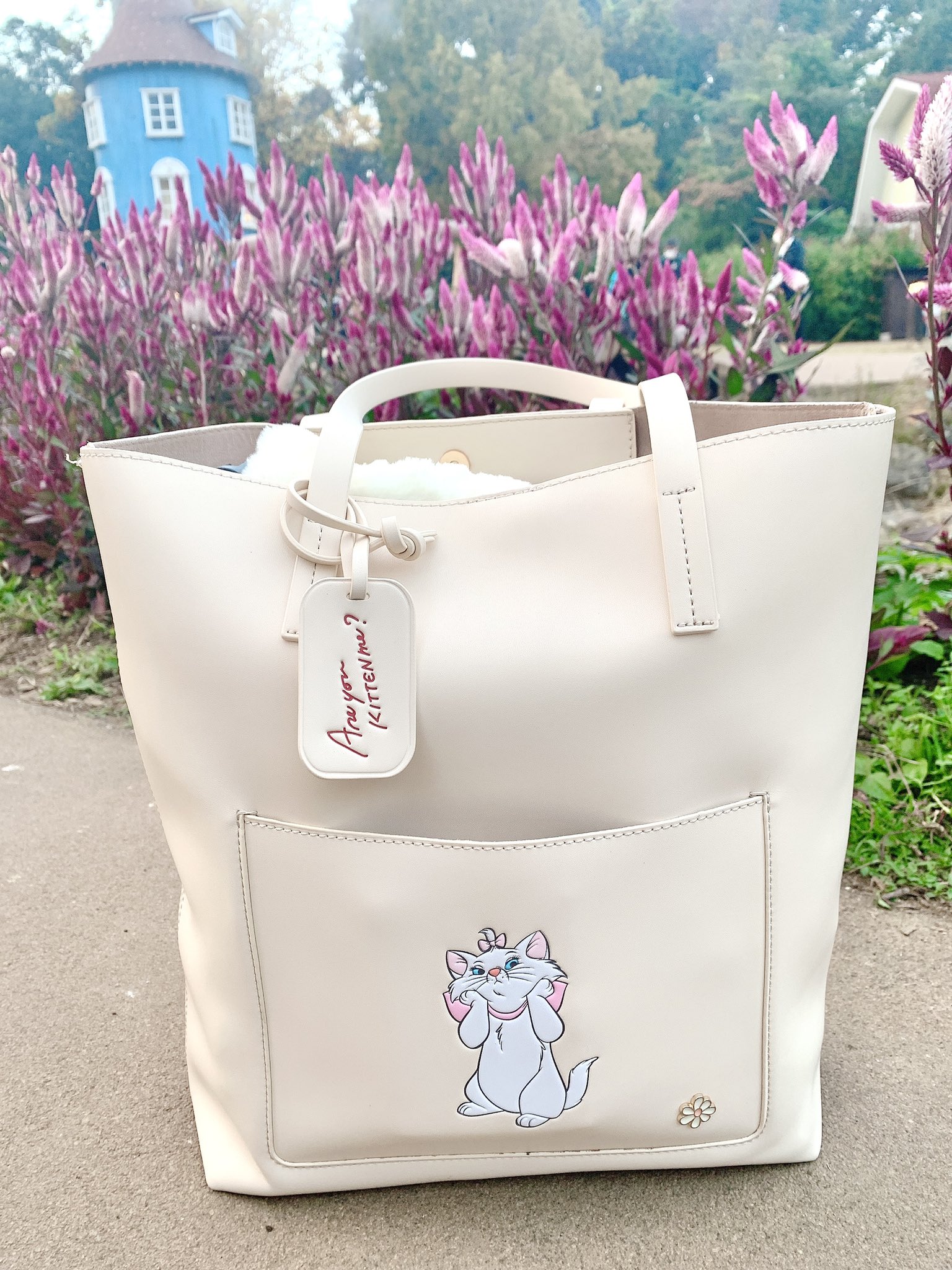 浅井麻里 まりりん 愛用してるマリーちゃんのバッグ T Co 3k17jtneg0 Accommode いっぱい入って使いやすい ディズニー コーデ アコモデ トートバッグ T Co 5aredo6zml Twitter